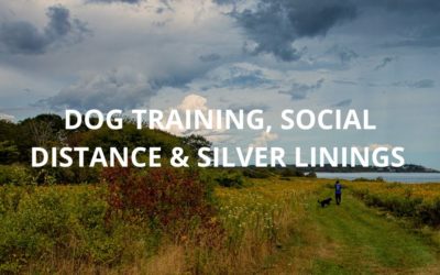 Dog Training, Social Distancing & Silver Linings