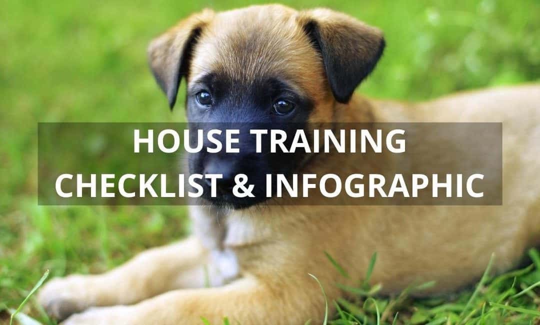 Housetraining Checklist with Infographic