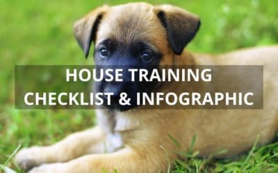 Housetraining Checklist (with Infographic)