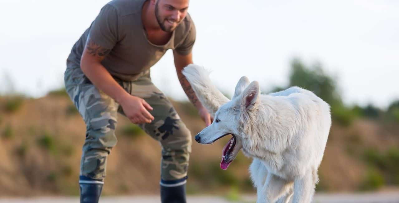 Man playing with German Shepherd