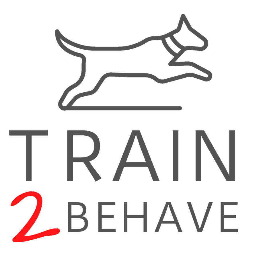 https://train2behave.com/wp-content/uploads/2021/05/Train-to-Behave-Dog-Training-Behavior-Blog.png