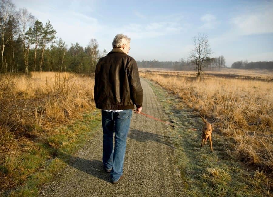 Where to walk a reactive dog: trails with space on either side that allow you to move away