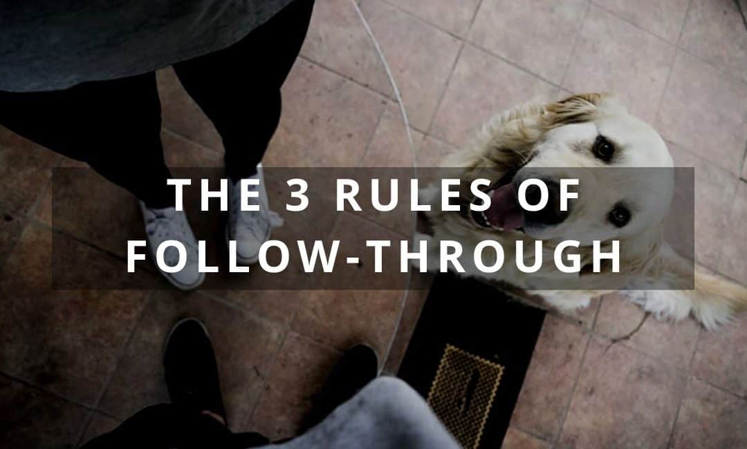 The 3 Rules of Follow-Through in Dog Training