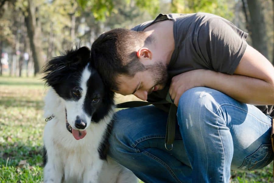 Effective communication in dog training means looking at things from the dog's point of view