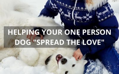 The One Person Dog — Tips To Help Your Dog “Spread The Love”